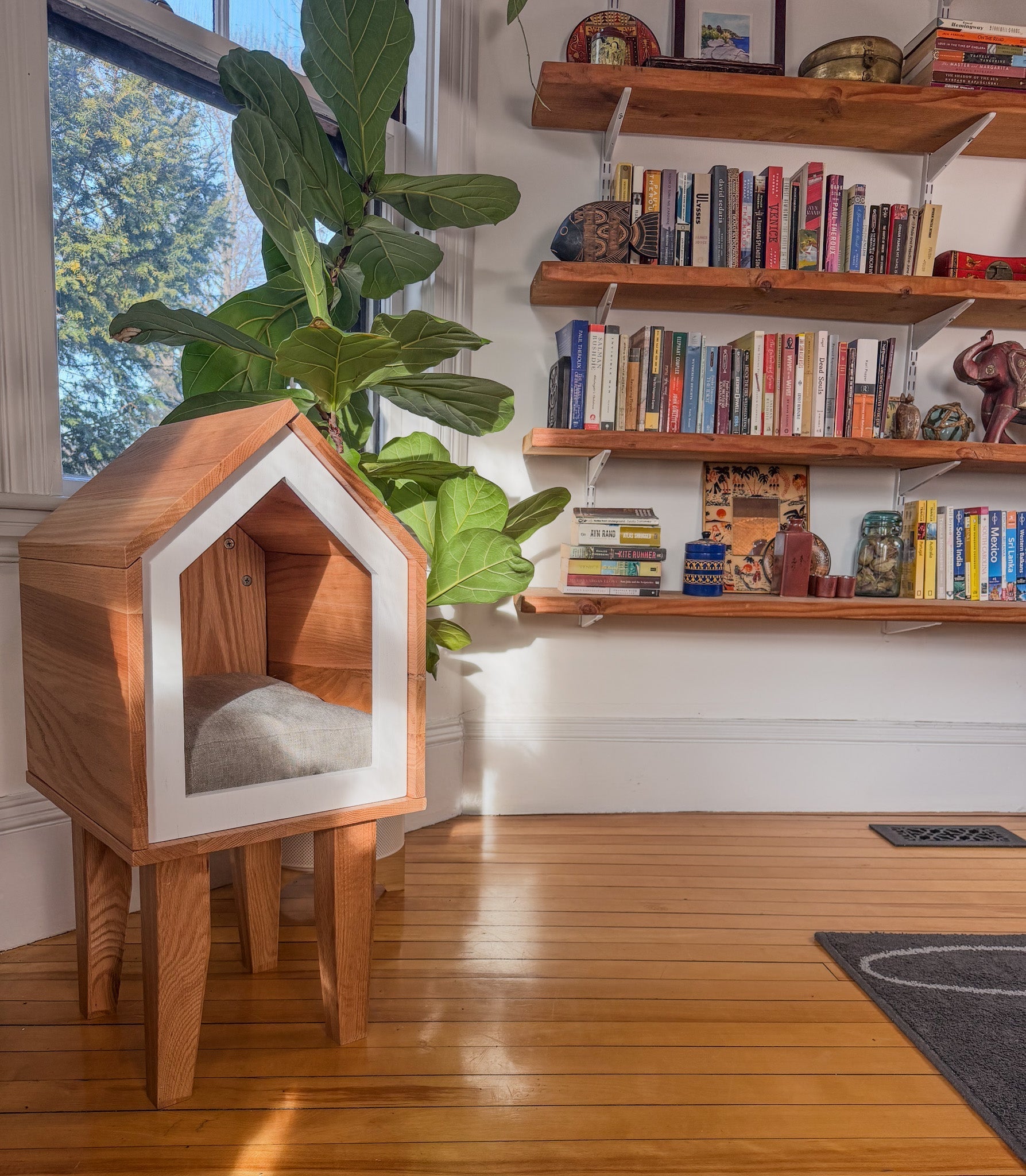 Designing a Home That Works for You — and Your Pet