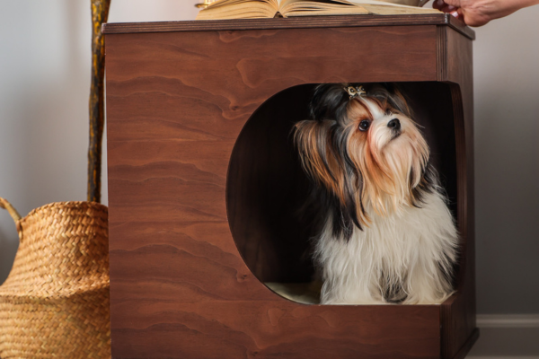 Designing a Home That Works for You — and Your Pet